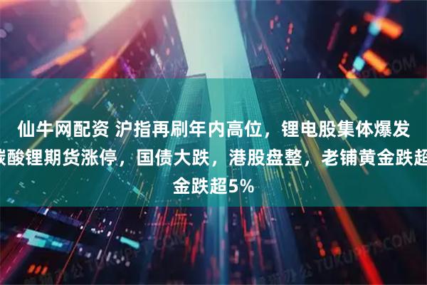 仙牛网配资 沪指再刷年内高位，锂电股集体爆发，碳酸锂期货涨停，国债大跌，港股盘整，老铺黄金跌超5%