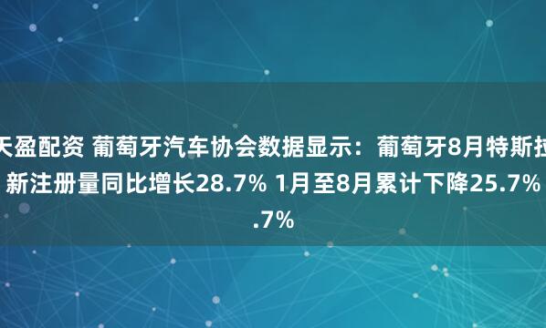 天盈配资 葡萄牙汽车协会数据显示：葡萄牙8月特斯拉新注册量同比增长28.7% 1月至8月累计下降25.7%
