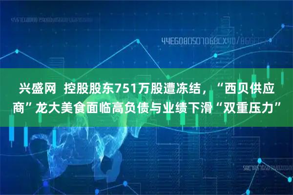 兴盛网  控股股东751万股遭冻结，“西贝供应商”龙大美食面临高负债与业绩下滑“双重压力”
