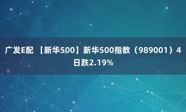 广发E配 【新华500】新华500指数（989001）4日跌2.19%